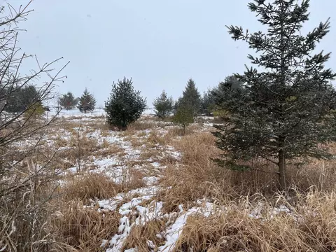 Elder Drive, Algoma, WI 54201 photo 17