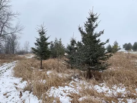 Elder Drive, Algoma, WI 54201 photo 12