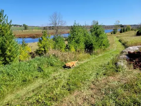 Elder Drive, Algoma, WI 54201 photo 5