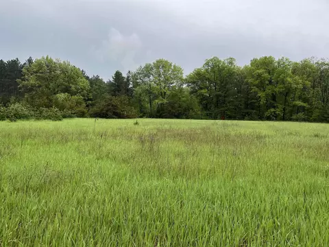 Pinecrest Court, Shawano, WI 54166
