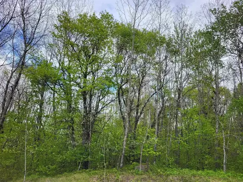 Tetlow Terrace, Wausaukee, WI 54143