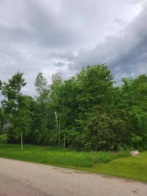 Spring Lake Estate Drive, Neshkoro, WI 54960