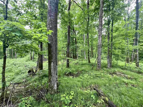 N12922 Limberg Lane #8, Silver Cliff, WI 54104