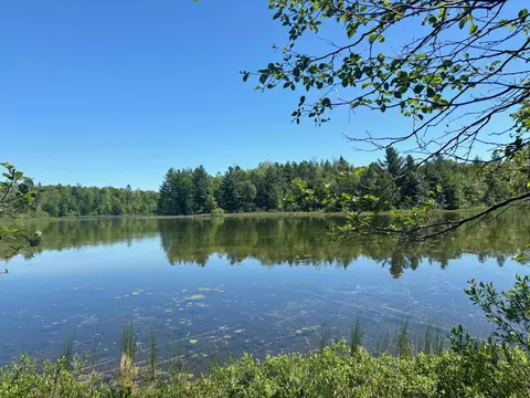 Swan Bay Road, Amberg, WI 54102