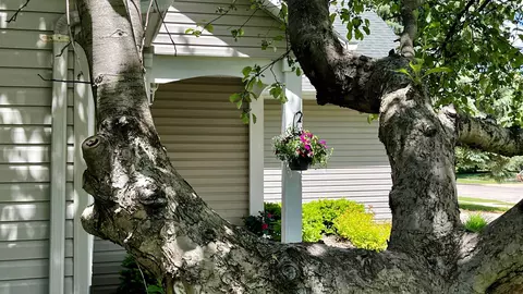 2019 S Matthias St, Appleton, WI 54915 photo 5
