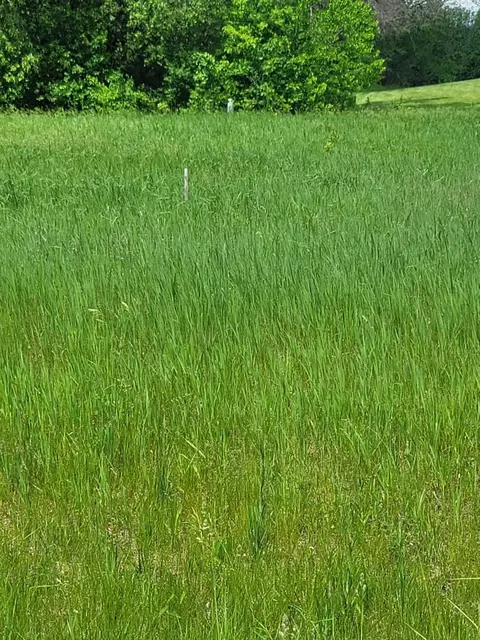 county rd v, Berlin, WI 54923 photo 3