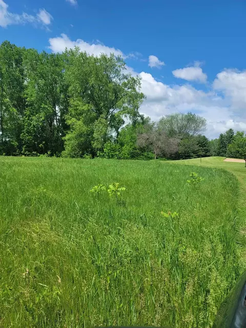 county rd v, Berlin, WI 54923 photo 2