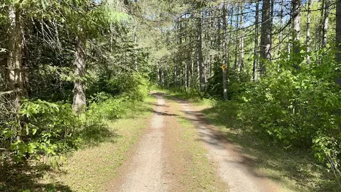 w13333 Powers Lane, Crivitz, WI 54114 photo 14
