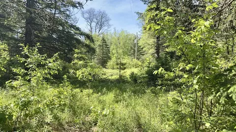w13333 Powers Lane, Crivitz, WI 54114 photo 10