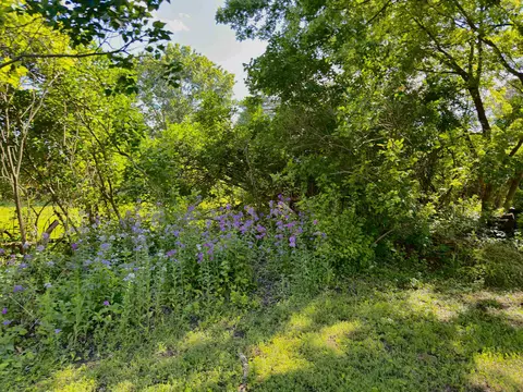 175 Arnold St, Berlin, WI 54923 photo 63