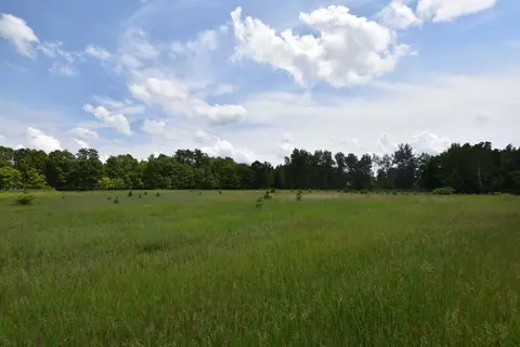 cottonville drive, Wautoma, WI 54982