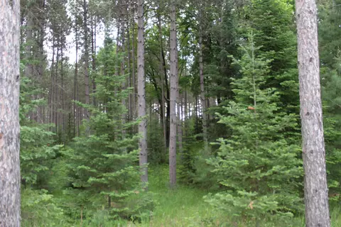 old orchard trail, Crivitz, WI 54114