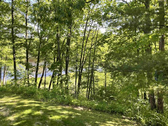 birchwood shores lane, Oconto Falls, WI 54154