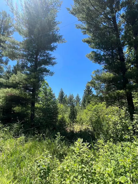 Pike River Road, Wausaukee, WI 54177