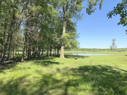 7092 Sundew Rd, Sobieski, WI 54171 photo 23