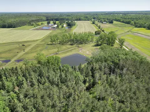 7092 Sundew Rd, Sobieski, WI 54171 photo 5