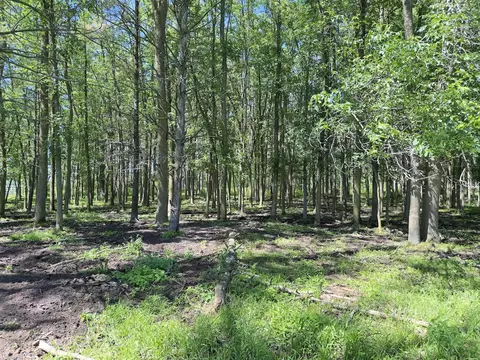 7092 Sundew Rd, Sobieski, WI 54171 photo 25