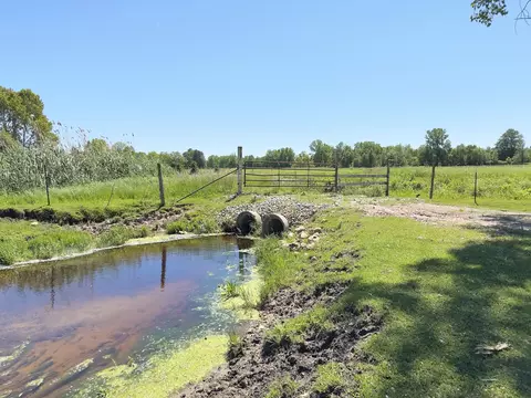 7092 Sundew Rd, Sobieski, WI 54171 photo 34