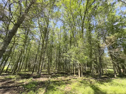 7092 Sundew Rd, Sobieski, WI 54171 photo 24