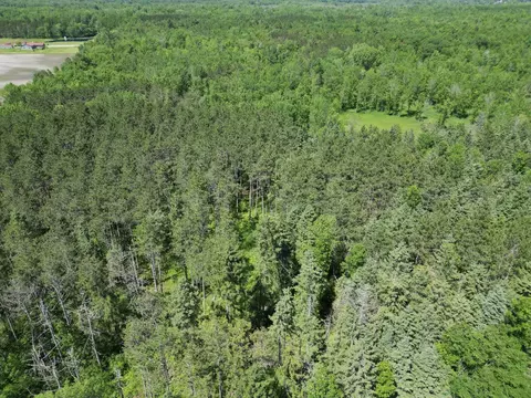 7092 Sundew Rd, Sobieski, WI 54171 photo 18