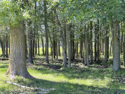 7092 Sundew Rd, Sobieski, WI 54171 photo 26