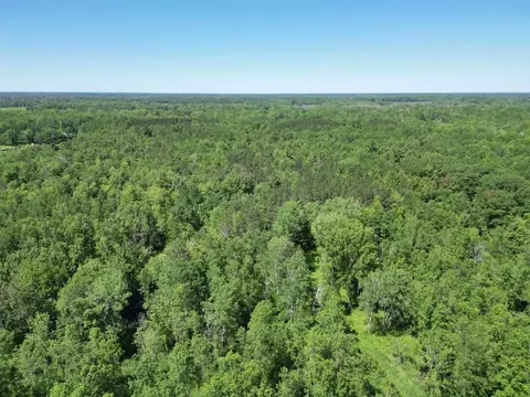 7092 Sundew Rd, Sobieski, WI 54171 photo 15