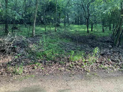 Echo Lake Road, Wild Rose, WI 54984