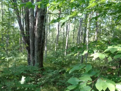 13130 Lori Ln, White Lake, WI 54491