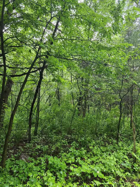 Harris Road, Iola, WI 54945
