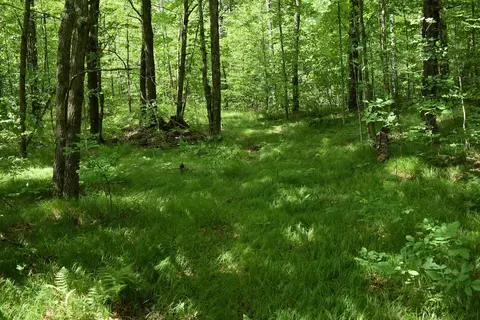 n13222 Harper Road, Athelstane, WI 54104