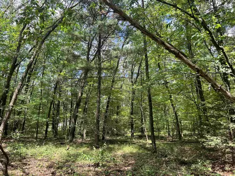 w5315 Ann Court, Shawano, WI 54166