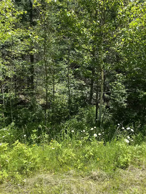 angel crest lane, Lakewood, WI 54138