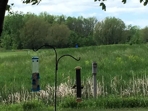 176 Golf Course Dr #12, Wrightstown, WI 54180 photo 63