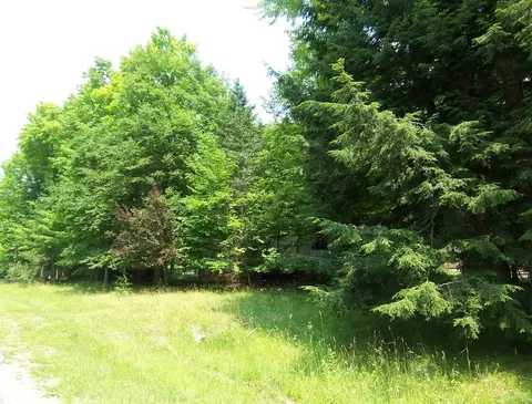 9665 Holt Park Rd, Suring, WI 54174