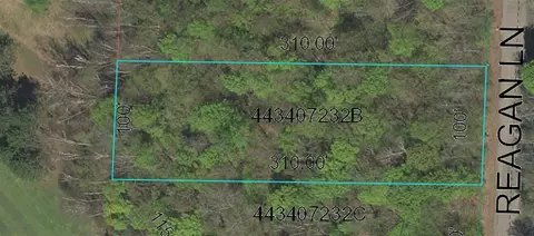 reagan lane, Lakewood, WI 54138