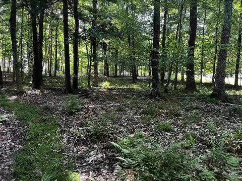N Kelly Lake Road, Suring, WI 54174