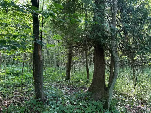 Balsam Lane, Casco, WI 54201