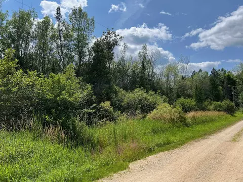 Aderman Lane, Daggett, MI 49821