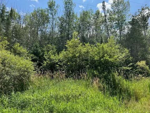 Aderman Lane, Daggett, MI 49821 photo 4