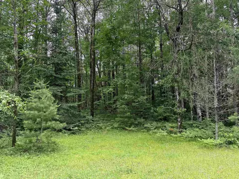 Exterior - w10792 Little Road, Gresham, WI 54128 photo 33 of 33