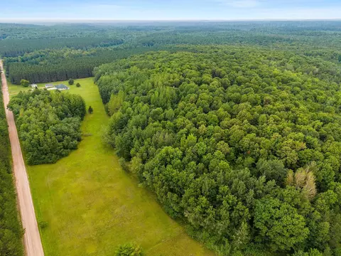 View/Area - w10792 Little Road, Gresham, WI 54128 photo 7 of 8