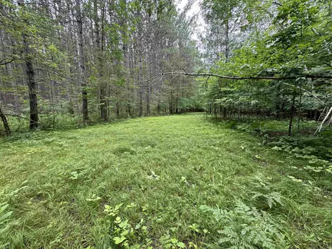 Exterior - w10792 Little Road, Gresham, WI 54128 photo 27 of 33