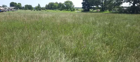 old hwy 54, Shiocton, WI 54170