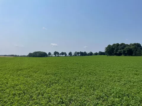 County F, Chilton, WI 53014