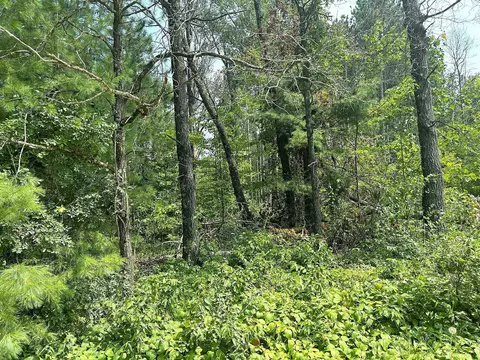N1260 Big Sky Road #53, Keshena, WI 54135