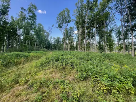 Co Rd 356, Stephenson, MI 49887 photo 27