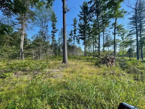 Co Rd 356, Stephenson, MI 49887 photo 39