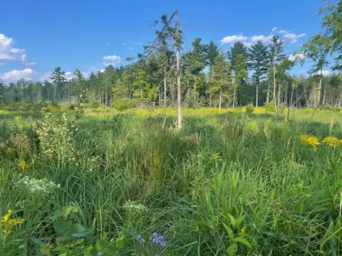 Co Rd 356, Stephenson, MI 49887 photo 7