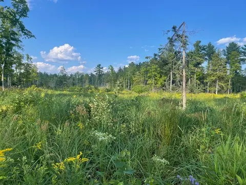 Co Rd 356, Stephenson, MI 49887 photo 33