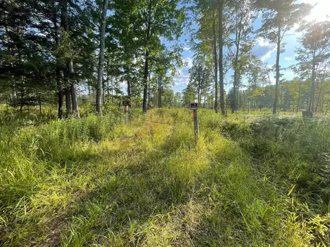 Co Rd 356, Stephenson, MI 49887 photo 29